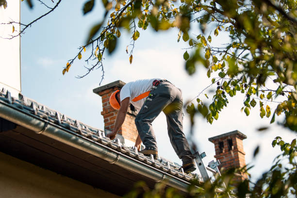 Best Gutter Installation and Roofing  in Bude, MS