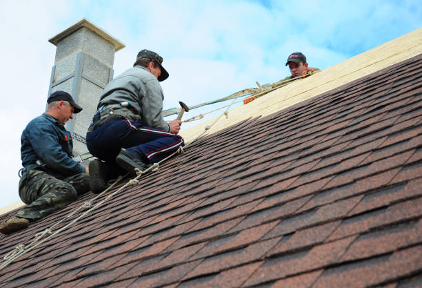 Best Roof Gutter Cleaning  in Bude, MS