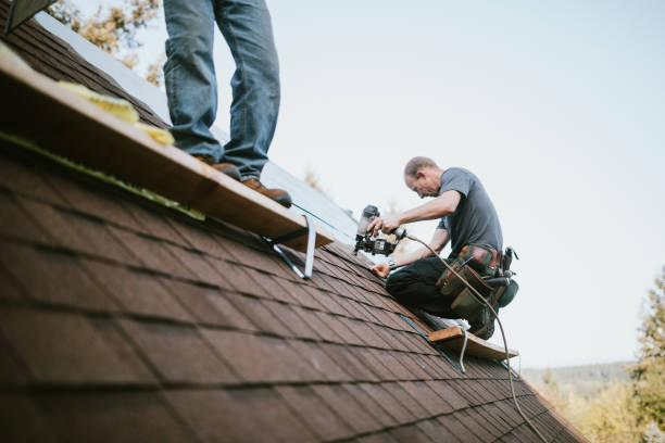 Best Metal Roofing Contractor  in Bude, MS